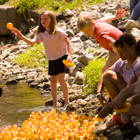 Kids help a gaggle of ducks that has gotten stuck against the shoreline rocks